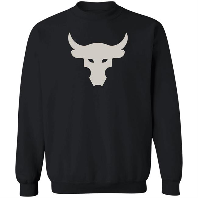 Under Armour Project Rock Hoodie Black Sweatshirt Under Armour Project Rock Hoodie Black Sweatshirt