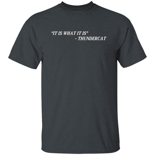 Thundercat It Is What It Is Tee Shirt Thundercat It Is What It Is Tee Shirt