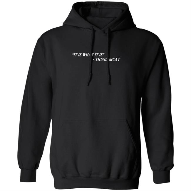 Thundercat It Is What It Is Tee Shirt Thundercat It Is What It Is Tee Shirt