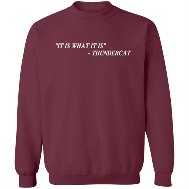 Thundercat It Is What It Is Tee Shirt Thundercat It Is What It Is Tee Shirt