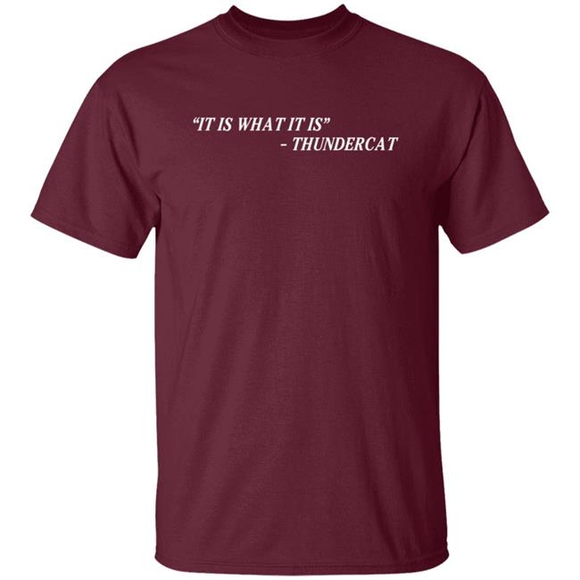 Thundercat It Is What It Is Tee Shirt Thundercat It Is What It Is Tee Shirt