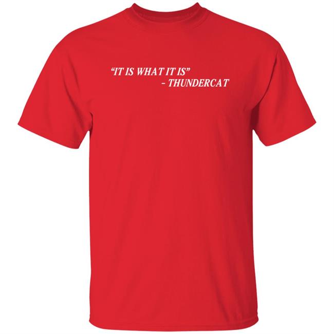 Thundercat It Is What It Is Tee Shirt Thundercat It Is What It Is Tee Shirt