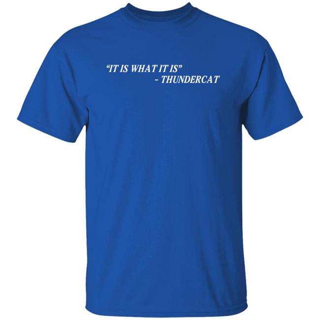 Thundercat It Is What It Is Tee Shirt Thundercat It Is What It Is Tee Shirt