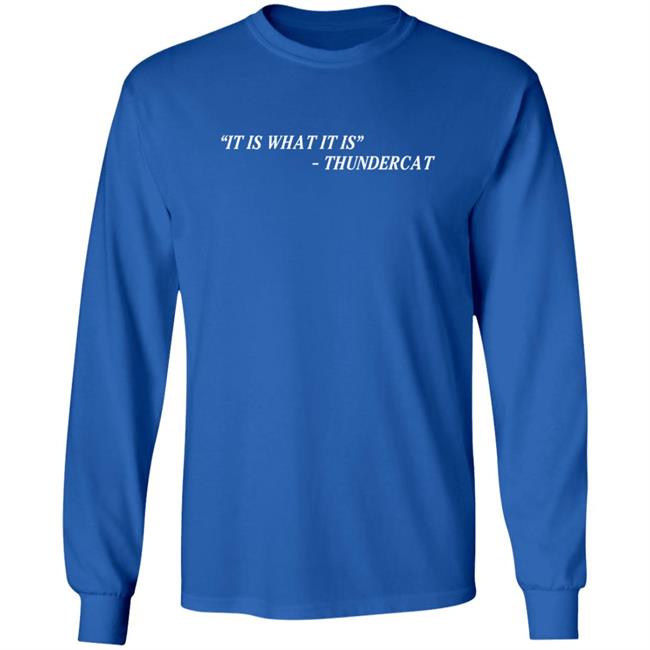Thundercat It Is What It Is Tee Shirt Thundercat It Is What It Is Tee Shirt