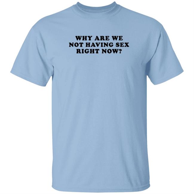 Why Are We Not Having Sex Right Now T Shirt Chloe Temple Duc - Why Are We Not Having Sex Right Now T Shirt Chloe Temple